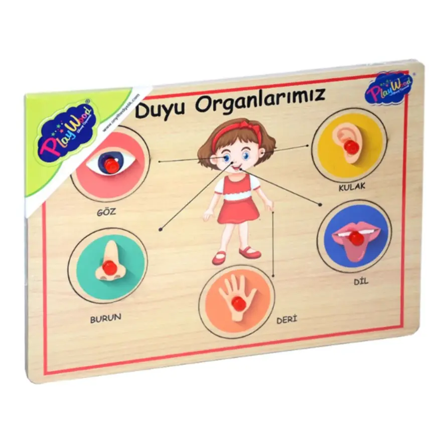 Ahşap Tutmalı Puzzle - Organlar - 1