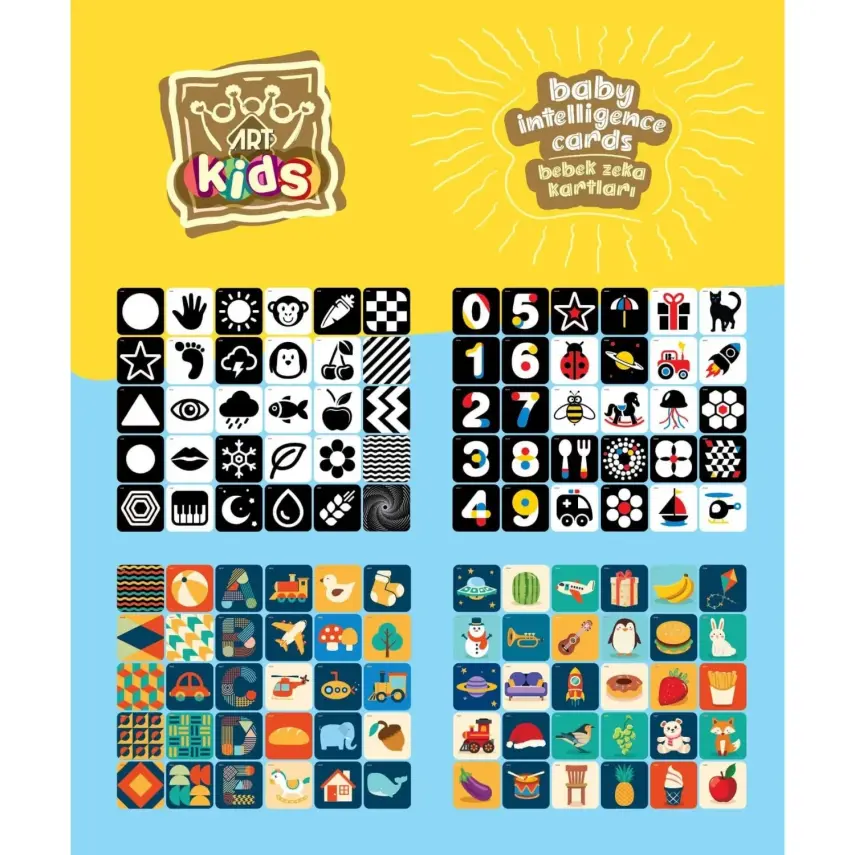 Art Kids Baby Zeka Kartları - 2