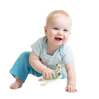 Babyjem Çıngıraklı Kaplumbağa Mint - 4