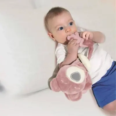 Babyjem Diş Kaşıyıcılı Uyku Arkadaşım Gül Kurusu - 4