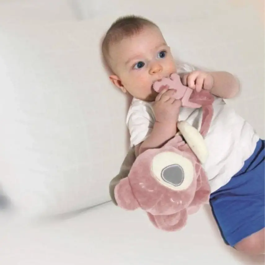 Babyjem Diş Kaşıyıcılı Uyku Arkadaşım Gül Kurusu - 4