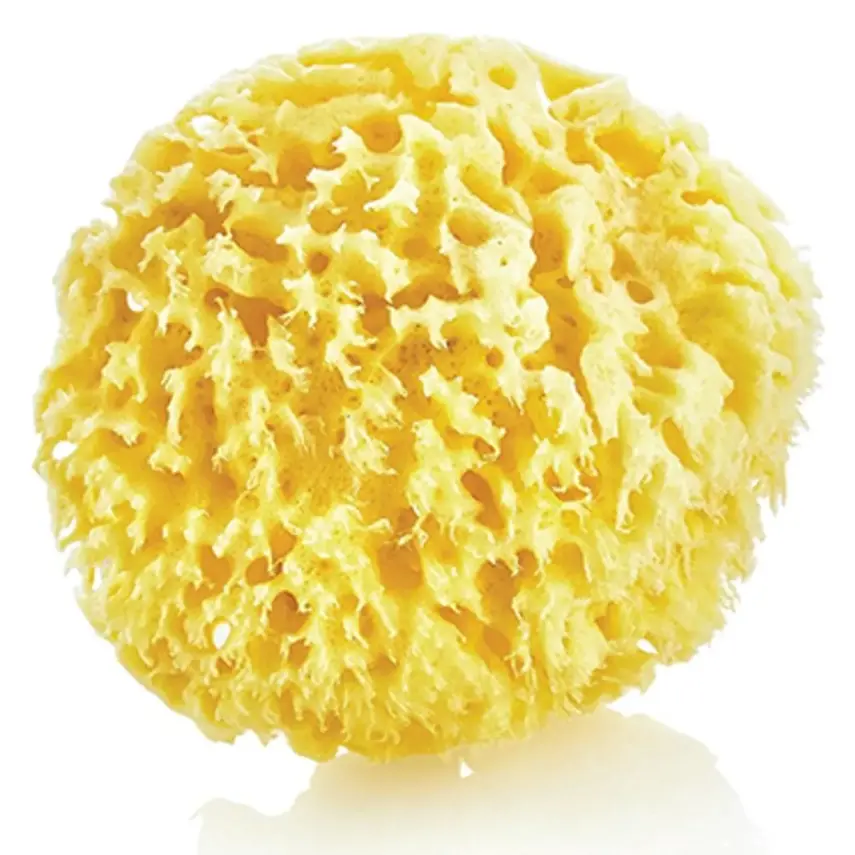 Babyjem Doğal Deniz Bebek Banyo Süngeri - 1