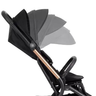 Bagi Atom Kabin Boy Bebek Arabası Black Gold - 6