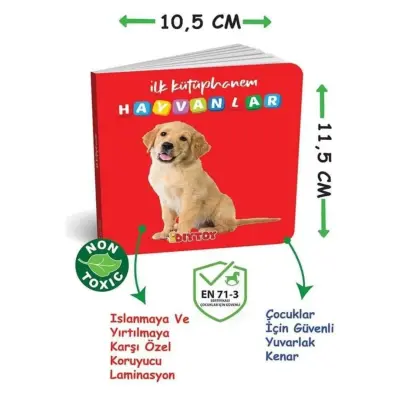 Bilişsel Gelişim Paketi - 3