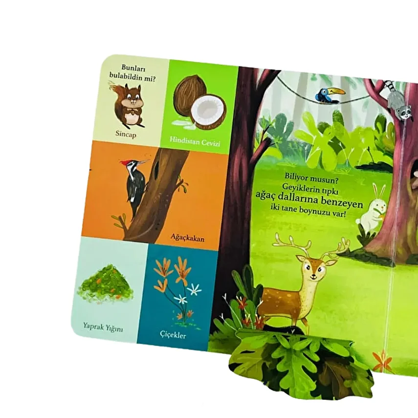 Bir Yola Çık Hayvanlar Parmak Takipli Kitap - 3