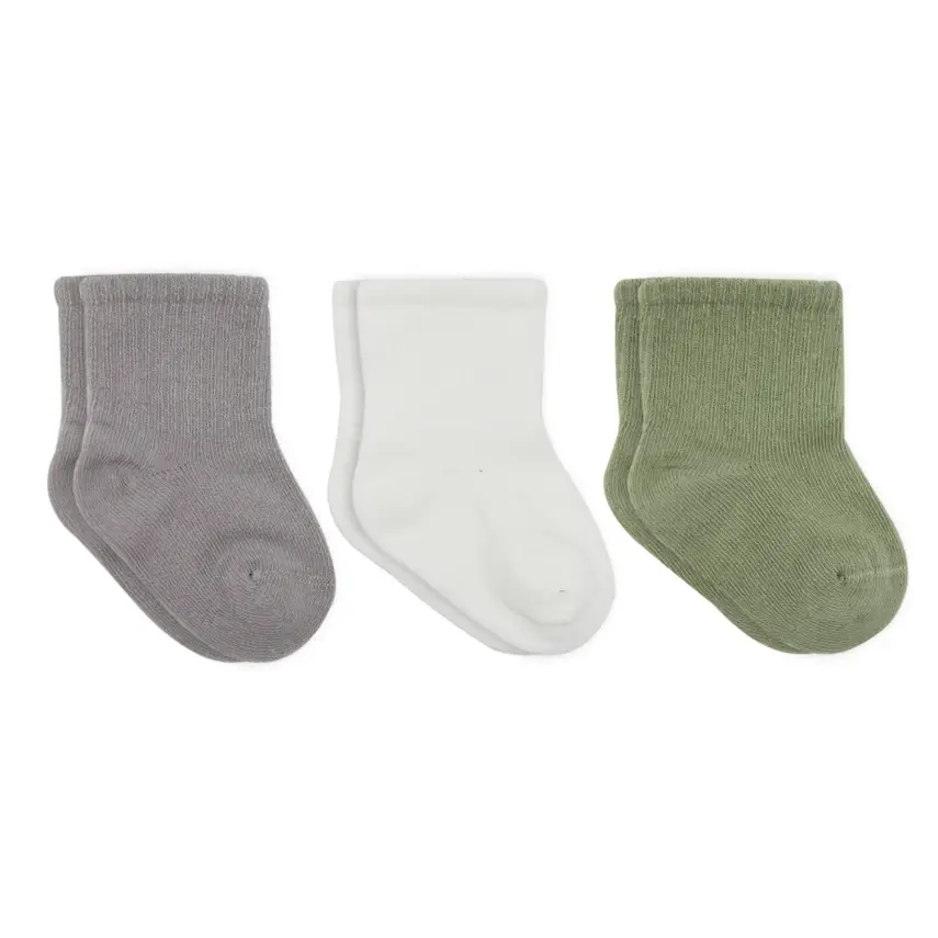 Bistyle Çorap Soket 3lü Penye Koala Boy Gri - Ekru - Nil - 1
