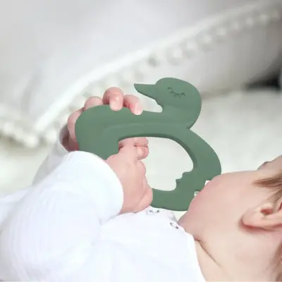 BM Care Silikon Kuğu Diş Kaşıyıcı Yeşil (1)