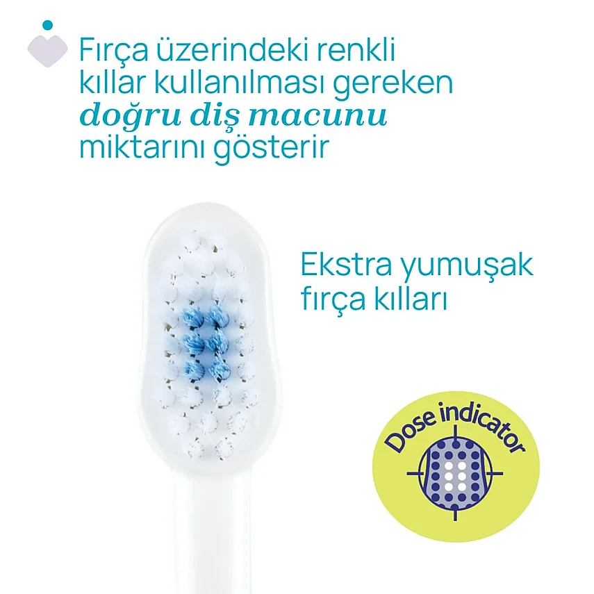 Chicco Diş Fırçası 3-6 Yaş Hippo Panda 2li - 4