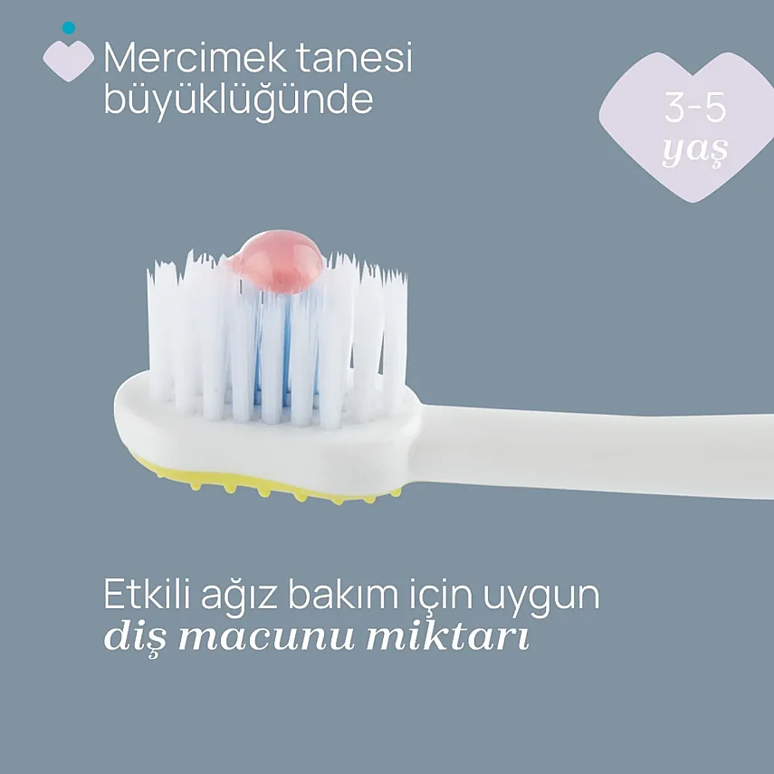 Chicco Diş Fırçası 6-36 Ay Yaş Lilac Mustard 2li - 7