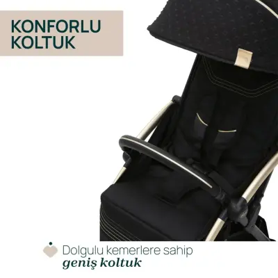 Chicco Goody Xplus Kabin Travel Sistem-Seyahat Sistem Bebek Arabası Black Re_Lux - 13