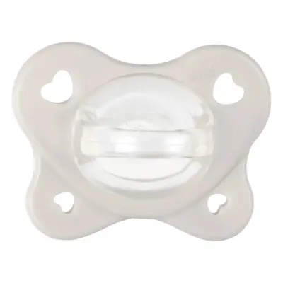 Chicco Physioforma Dual Soft Emzik 2li 2-6 Ay Erkek - 13