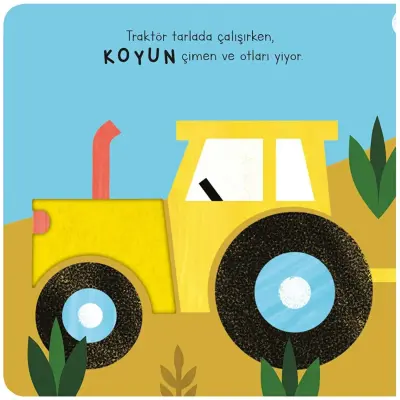 Dokun&Hisset&Bul - Çiftlik Hayvanları - 2