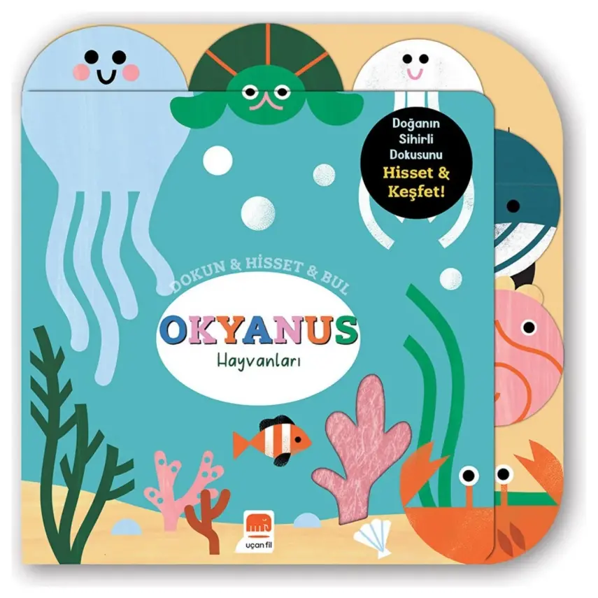 Dokun&Hisset&Bul - Okyanus Hayvanları - 1