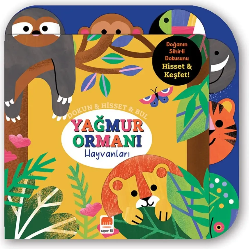 Dokun&Hisset&Bul - Yağmur Ormanı Hayvanları - 1