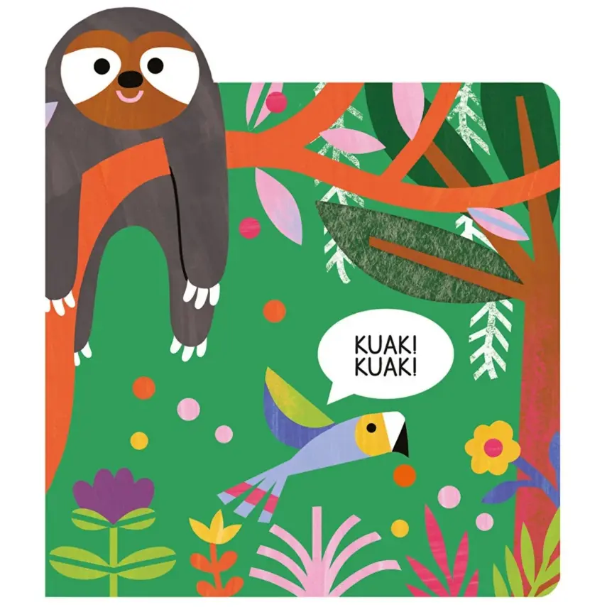 Dokun&Hisset&Bul - Yağmur Ormanı Hayvanları - 2