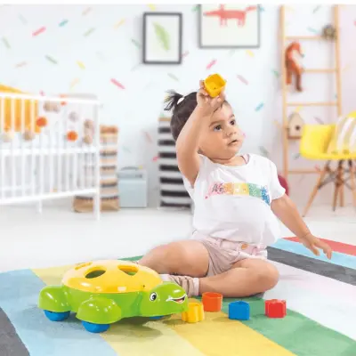 Dolu Caretta Bultak (1)