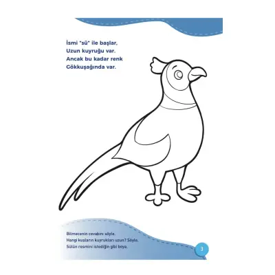 Doya Doya Bil Boya - Bilmeceli Boyama  Kuşlar (1)