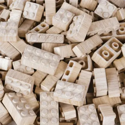 Eğitici Ahşap Blokları (1)