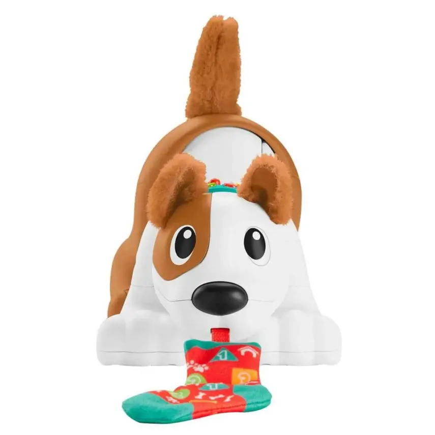 Emeklemeyi ve Saymayı Öğreten Köpekçik - 6