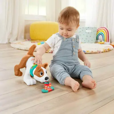 Emeklemeyi ve Saymayı Öğreten Köpekçik (1)