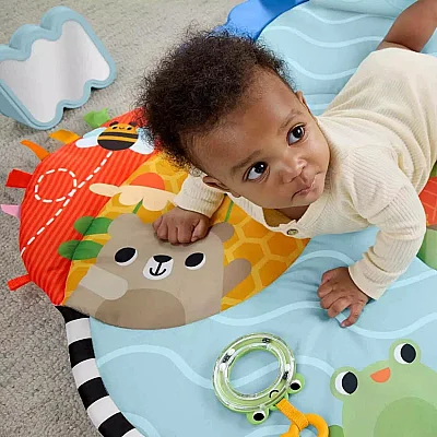 Fisher Price 3'ü 1 Arada Duyusal Gelişim Jimnastik Merkezi - 5