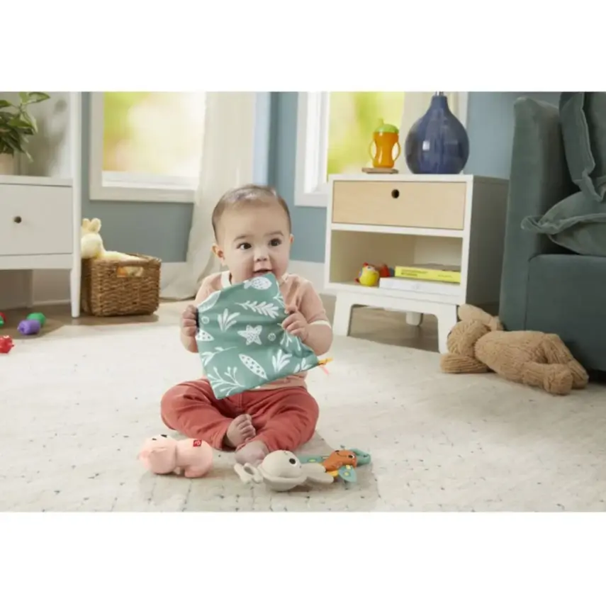 Fisher-Price Duyuları Harekete Geçiren Oyun Seti - 4