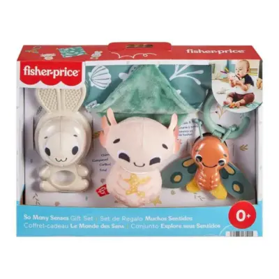 Fisher-Price Duyuları Harekete Geçiren Oyun Seti - 1