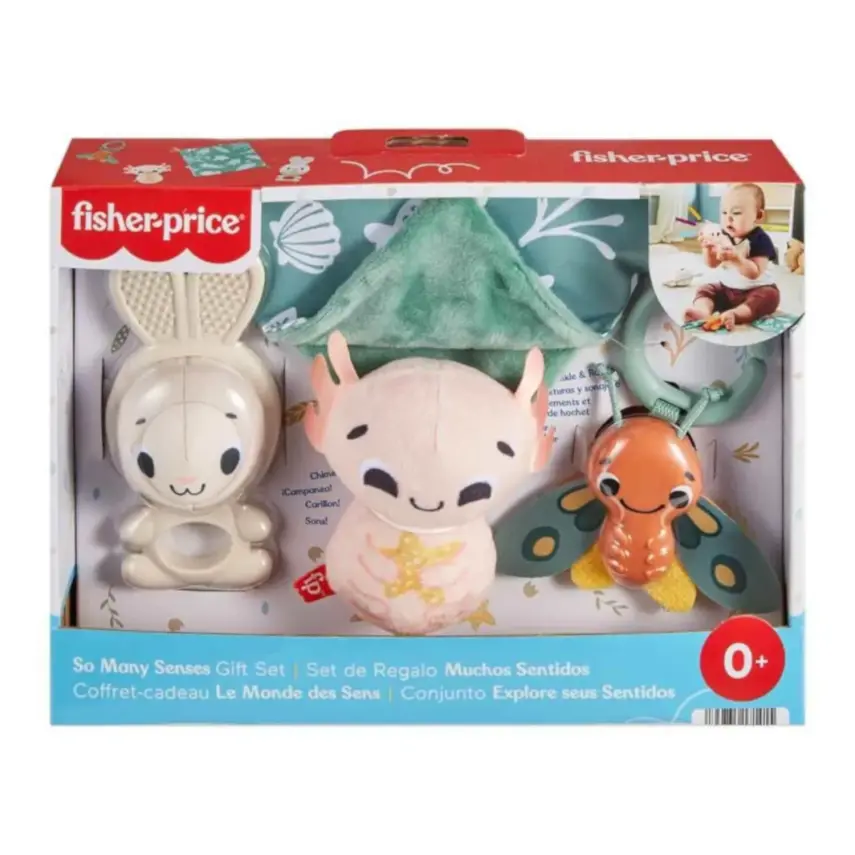Fisher-Price Duyuları Harekete Geçiren Oyun Seti - 1