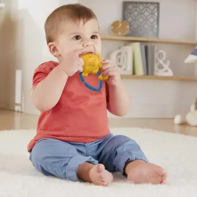 Fisher Price Sevimli Hayvancıklar Dişlikler Maymun (1)