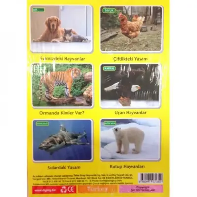 Flash Kart Yaşam Alanlarında İlk 50 Hayvan (1)