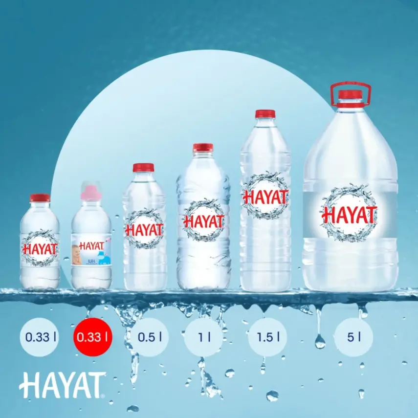 Hayat Doğal Mineralli Su 6lı - 21