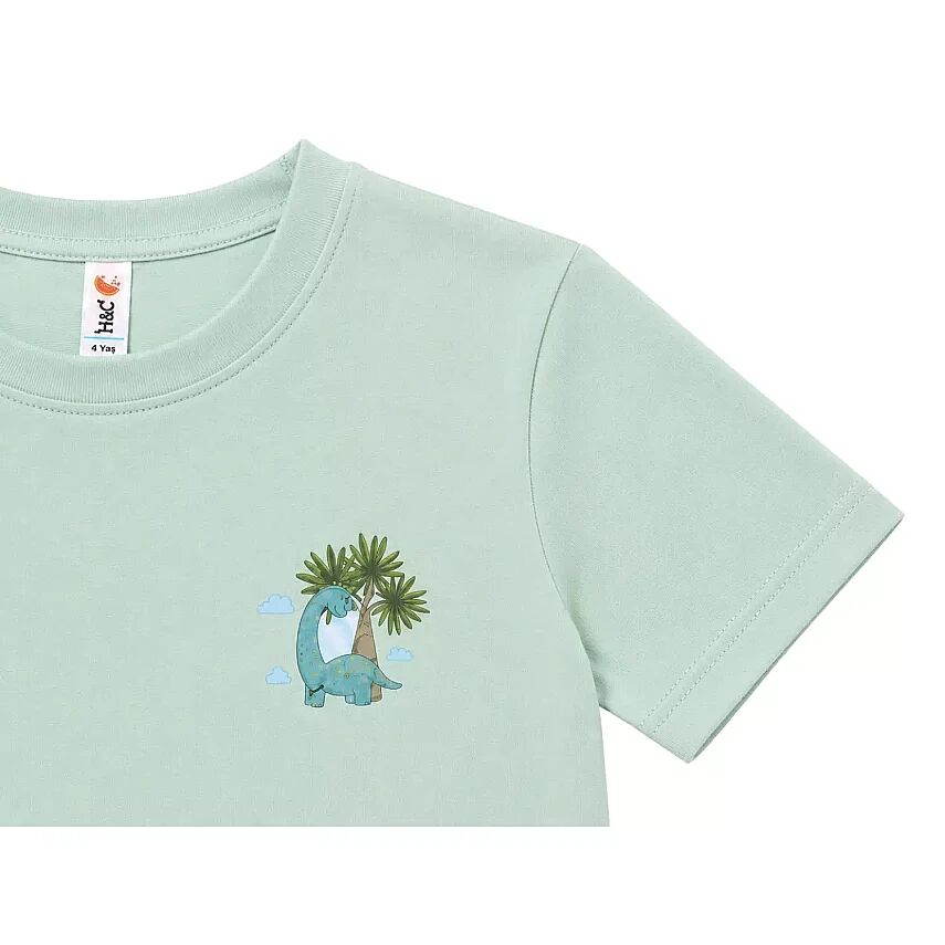H&C T-Shirt Palmiye Dino Mint - 5