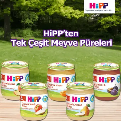 Hipp Organik Elma Püresi 125 gr x3 Adet - 9