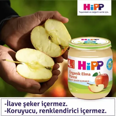 Hipp Organik Erik Püresi 125 gr x3 Adet - 8