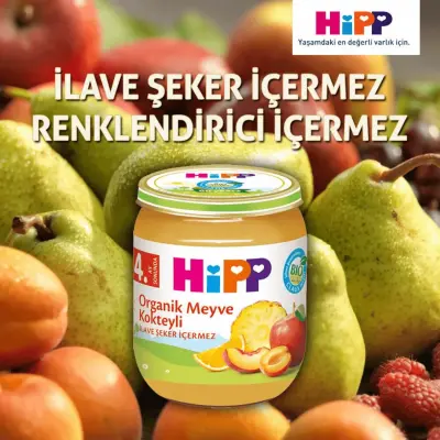 Hipp Organik Erik Püresi 125 gr x3 Adet - 9