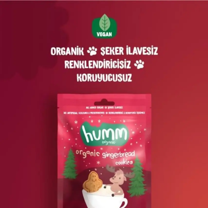 Humm Organic Tarçınlı ve Zencefilli Kurabiye 55 gr - 7