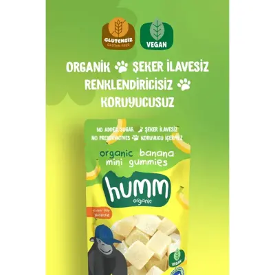 Humm Organik Glutensiz Vegan Muzlu Mini Küpler 30gr (1)