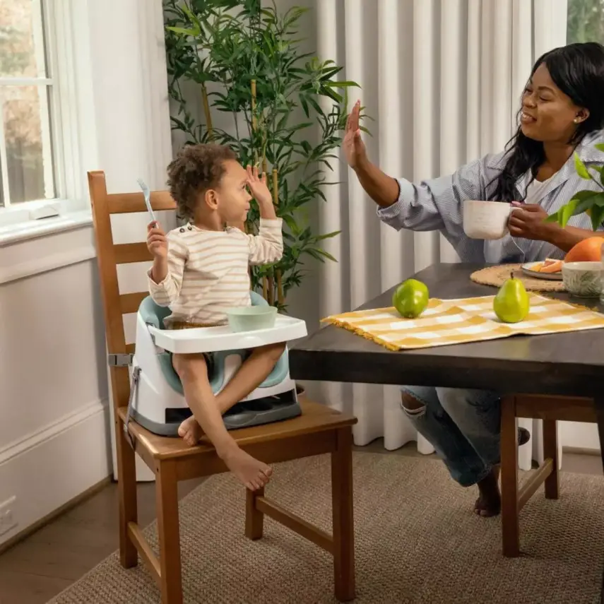 Ingenuity Baby Base Portatif Mama Sandalyesi Mist - 8