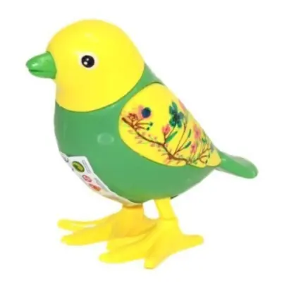 Kurmalıgiller Kuş (1)