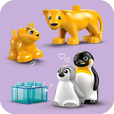 LEGO DUPLO Kasabası Vahşi Hayvan Aileleri: Penguenler ve Aslanlar 10442 - 4