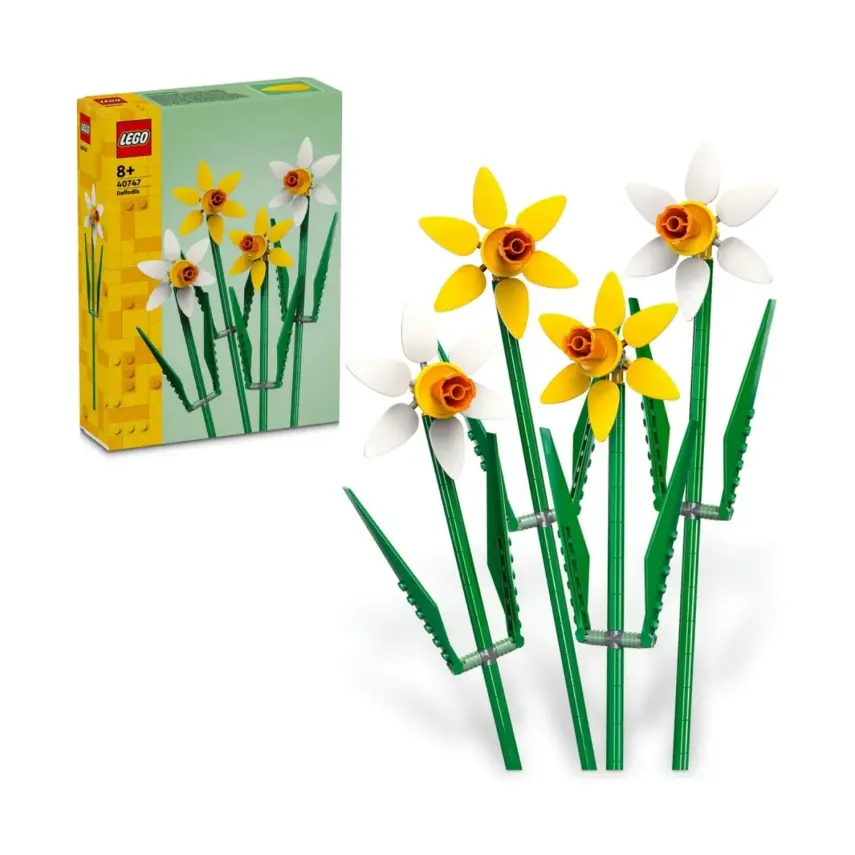 Lego Iconic Nergis 40747 - 4