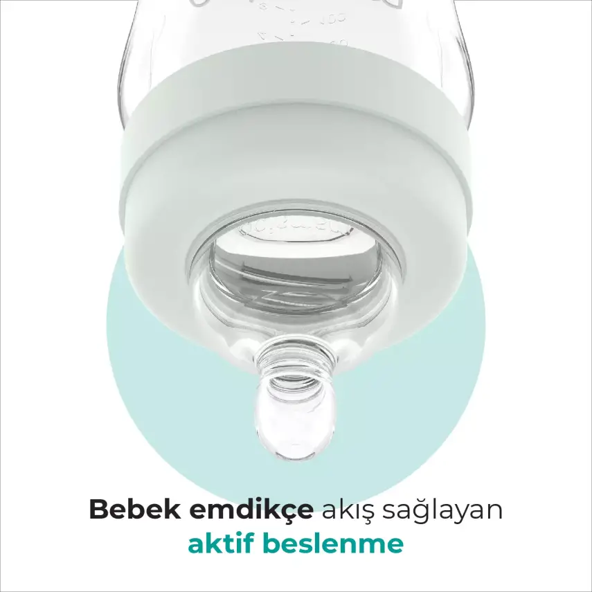 Mamajoo PP Biberon 160 ml & Gece ve Gündüz Biberon Emziği - 5