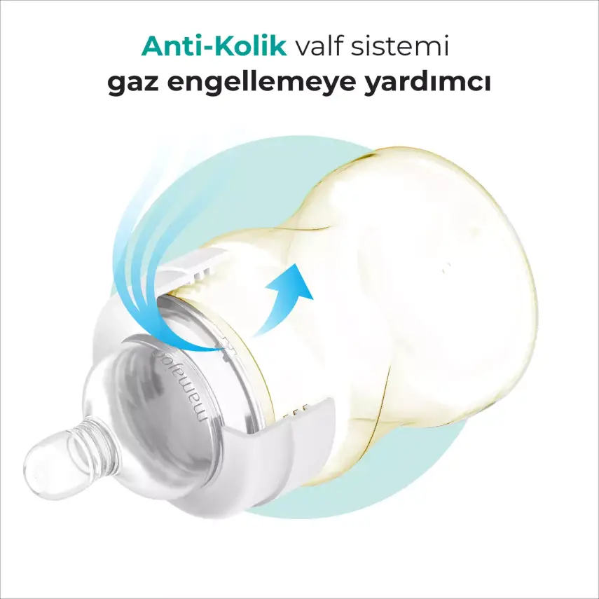 Mamajoo PP Biberon 250 ml - 3