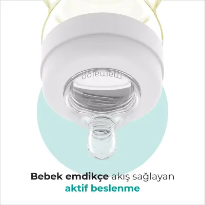 Mamajoo PP Biberon 250 ml - 5