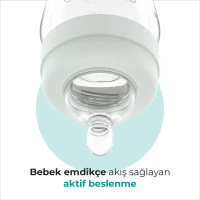 Mamajoo PP Biberon 270 ml & Gece ve Gündüz Biberon Emziği - 5