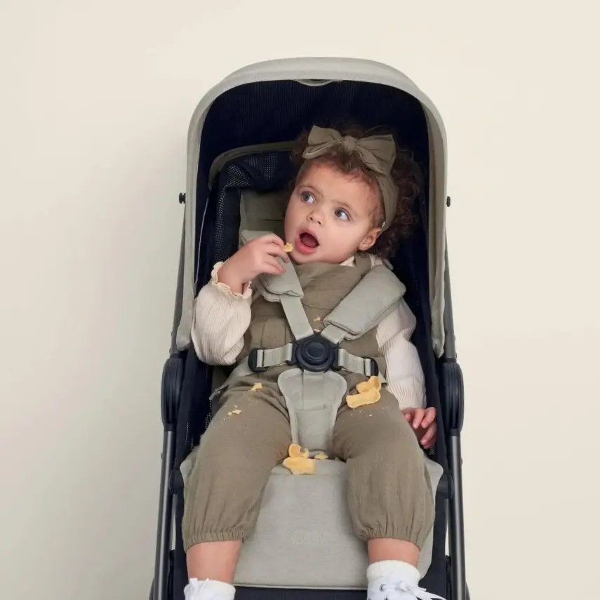 Mamas & Papas Libro Bebek Arabası Morell - 12