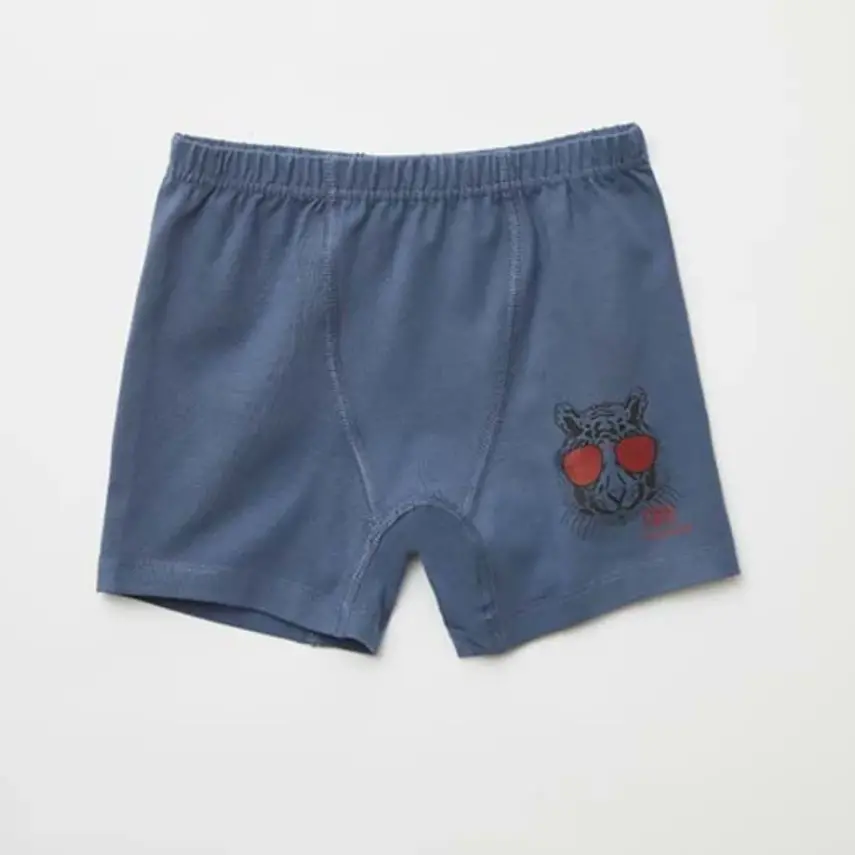 Natuline Organik Erkek Boxer Likralı Cool Tiger 2li İndigo - Gri Melanj - 6