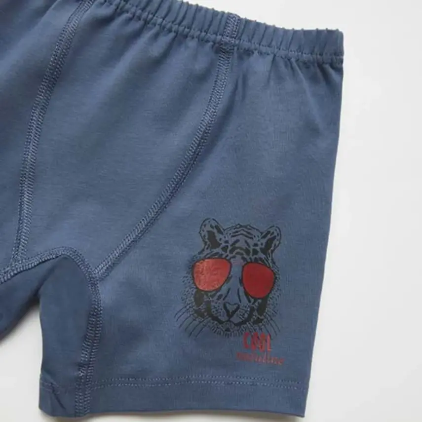 Natuline Organik Erkek Boxer Likralı Cool Tiger 2li İndigo - Gri Melanj - 5