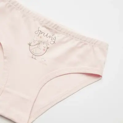 Natuline Organik Kız Slip Likralı Spring Bird 2li Pembe - Ekru - 3