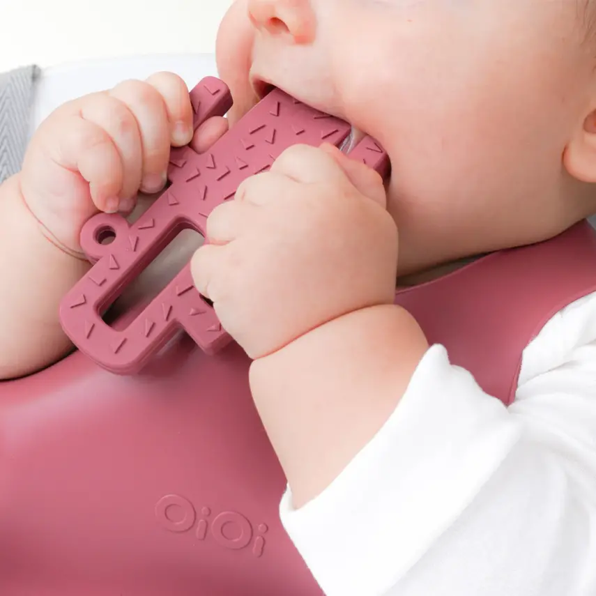 OiOi Kaktüs Diş Kaşıyıcı 3+ Ay Aqua Green - 2